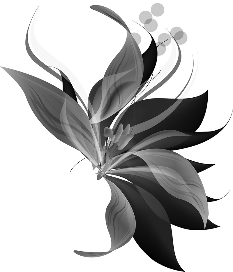 リアルな花のイラスト フリー素材 白黒 モノクロno 99 白黒 葉 クール