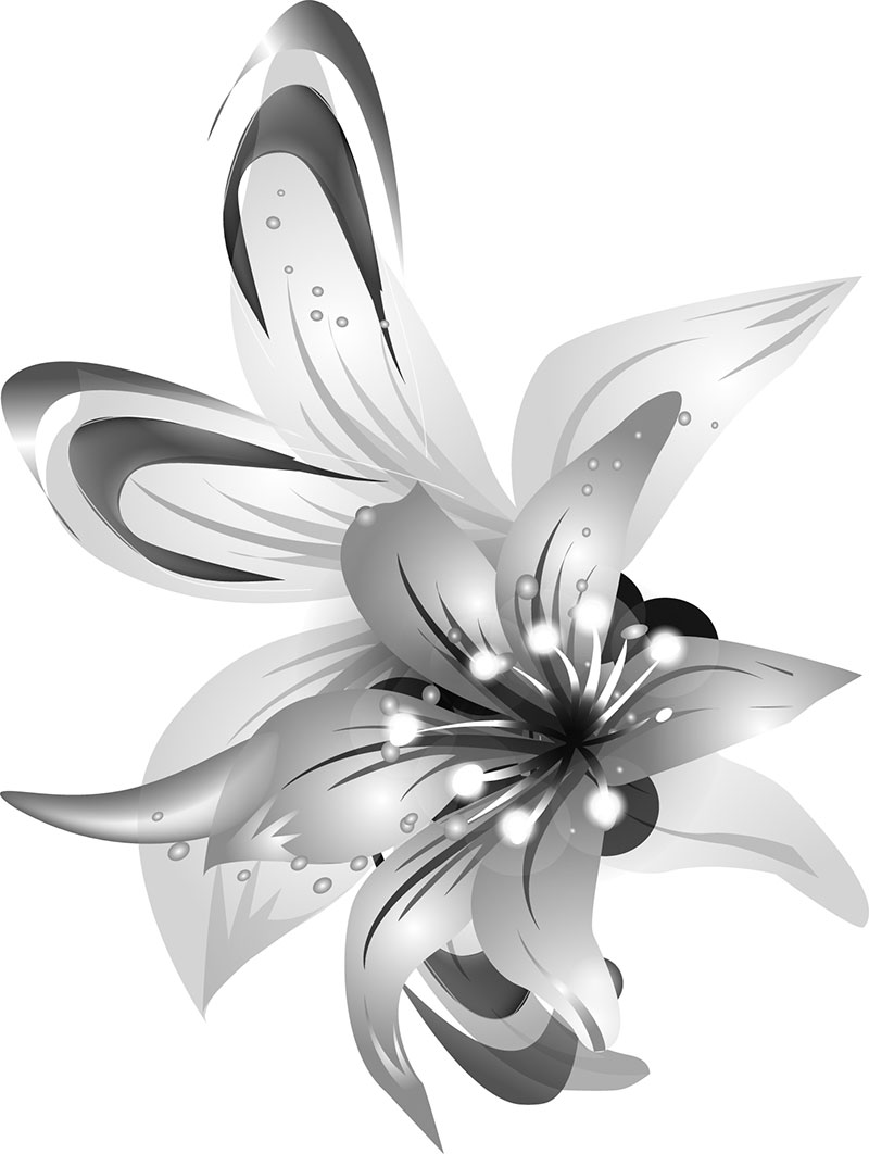 百合 ゆり の花の画像 イラスト フリー素材 No 061 白黒 ユリ 薄い