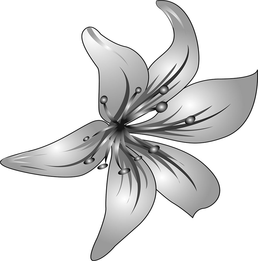 白黒の花のイラスト-白黒・ユリ・光彩