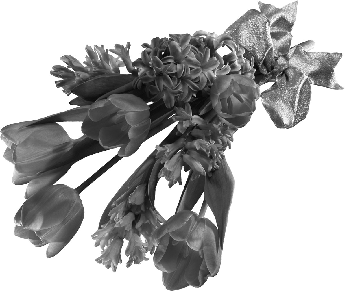 リアルな花のイラスト フリー素材 白黒 モノクロno 21 白黒 チューリップの束