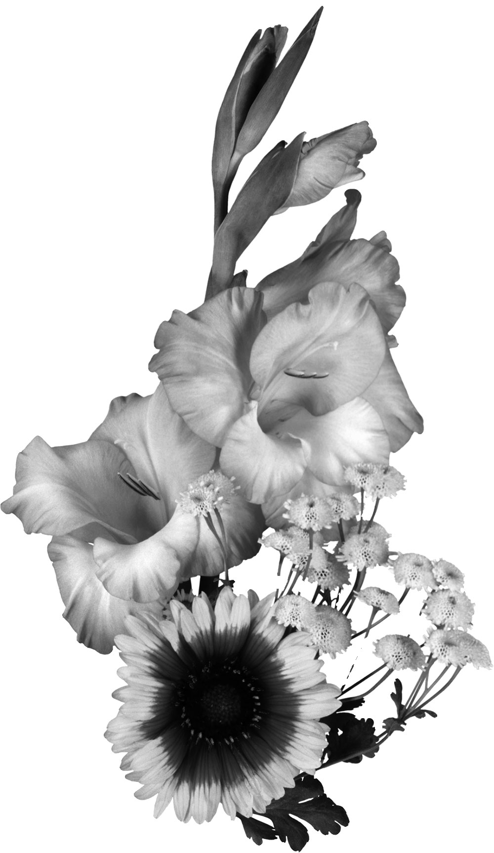 花のイラスト フリー素材 白黒の花束no 017 白黒 バラエティ