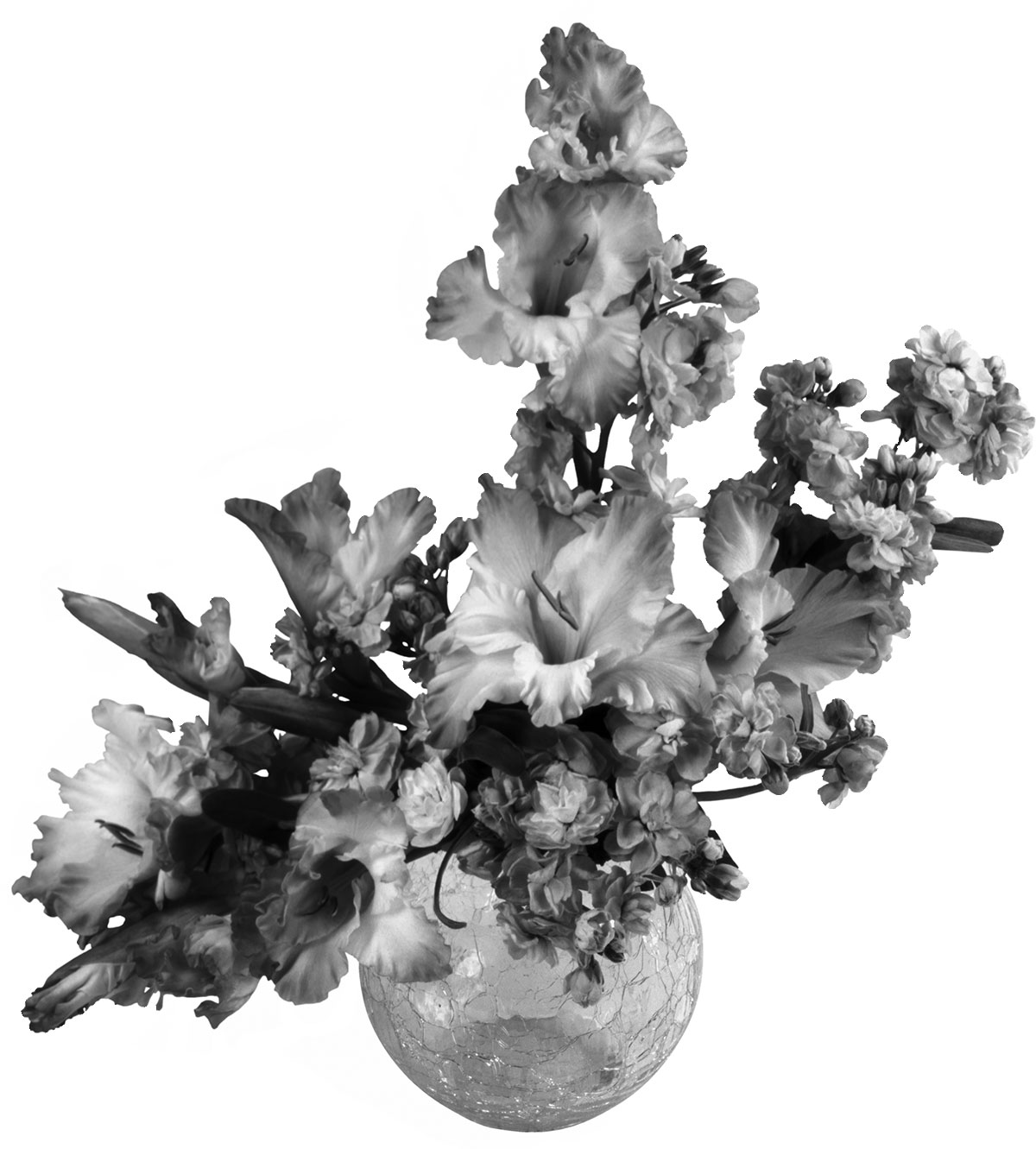 花のイラスト フリー素材 白黒の花束no 019 白黒 ガラスの花瓶