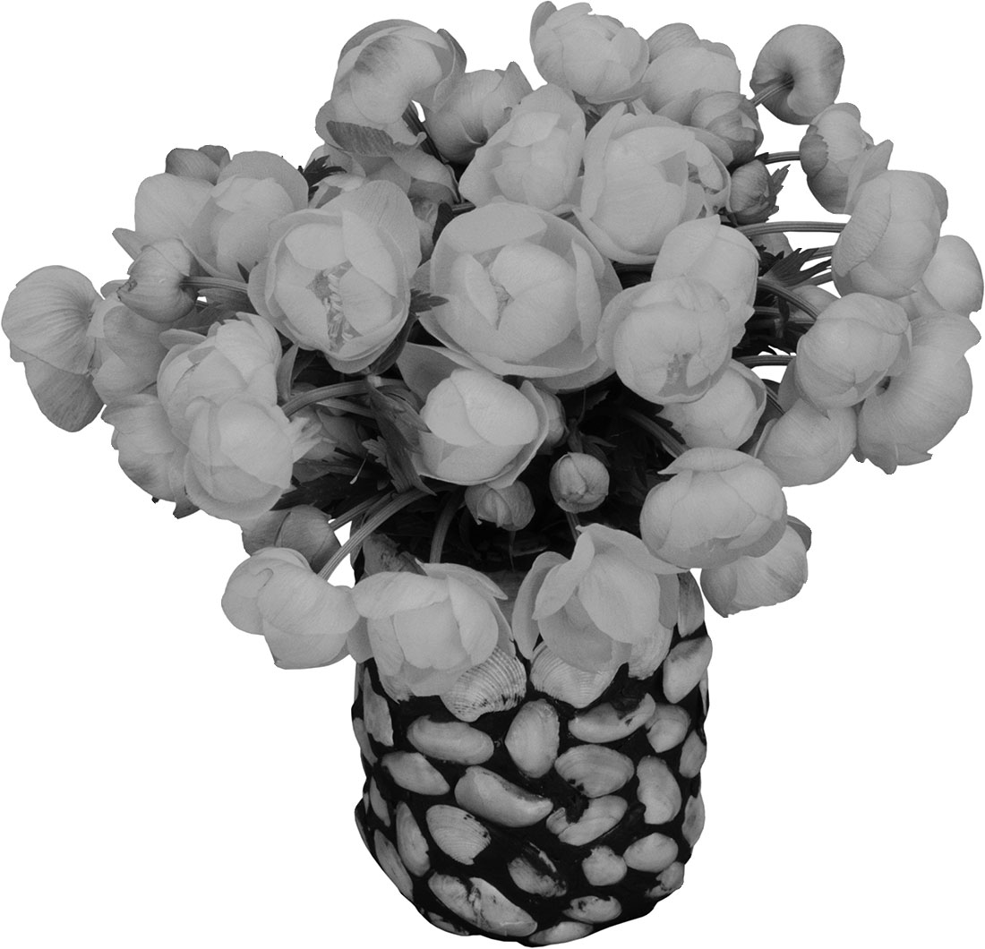花のイラスト フリー素材 白黒 モノクロno 194 白黒 花束 花瓶