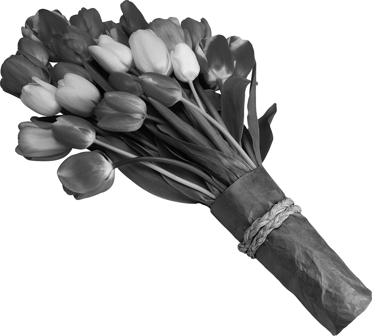 花のイラスト フリー素材 白黒 モノクロno 195 白黒 チューリップの束