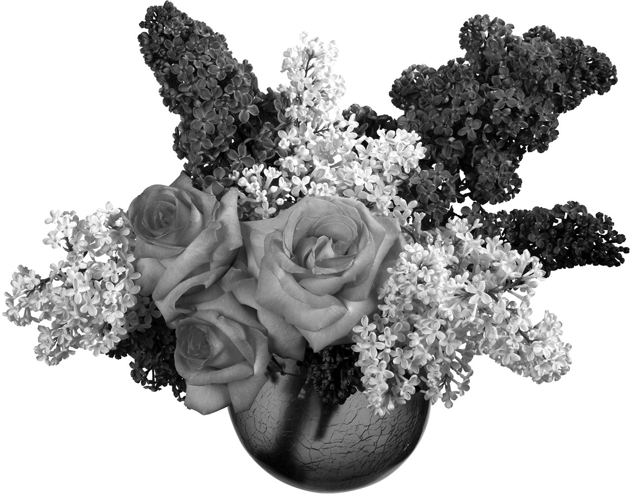 花のイラスト フリー素材 白黒 モノクロno 197 白黒 バラ 花瓶