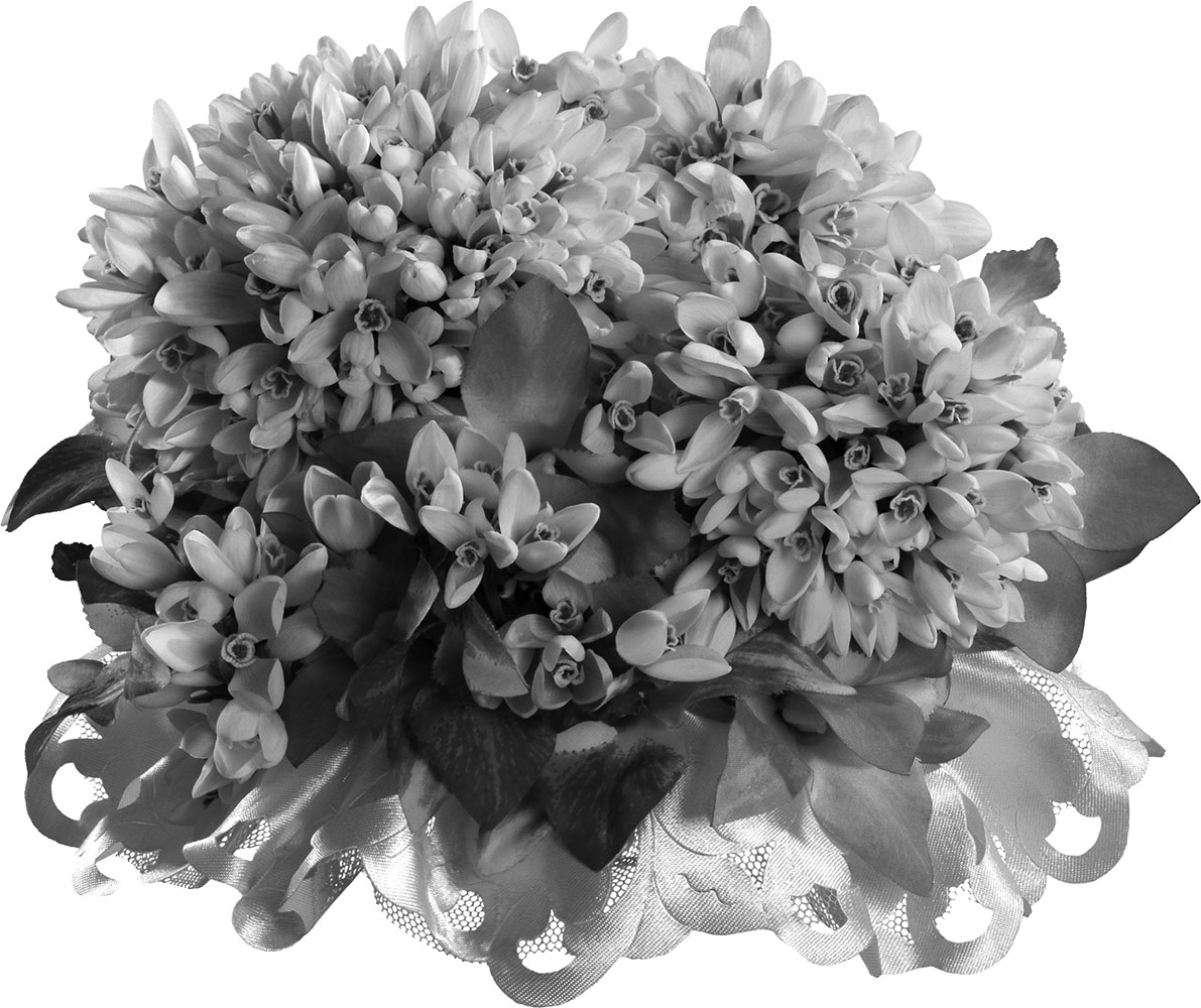 花のイラスト フリー素材 白黒の花束no 031 白黒 花束 リボン