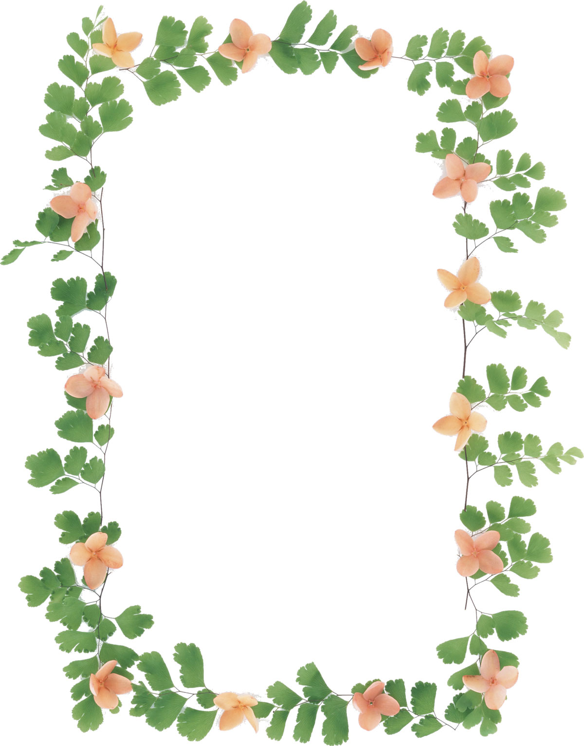 花や葉の写真 画像 フリー素材 フレーム枠no 10 ピンク 茎葉 緑