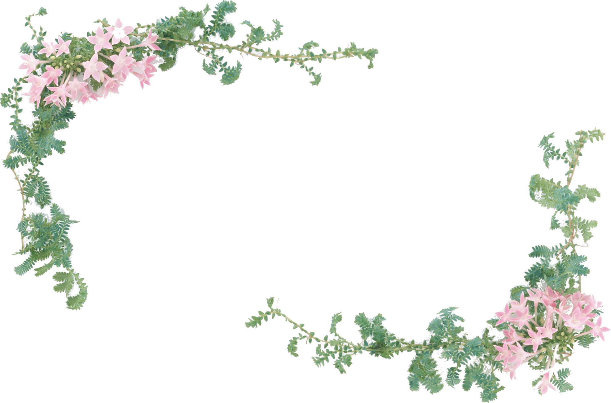 花や葉の写真 画像 フリー素材 フレーム枠no 1095 ピンク 緑 葉