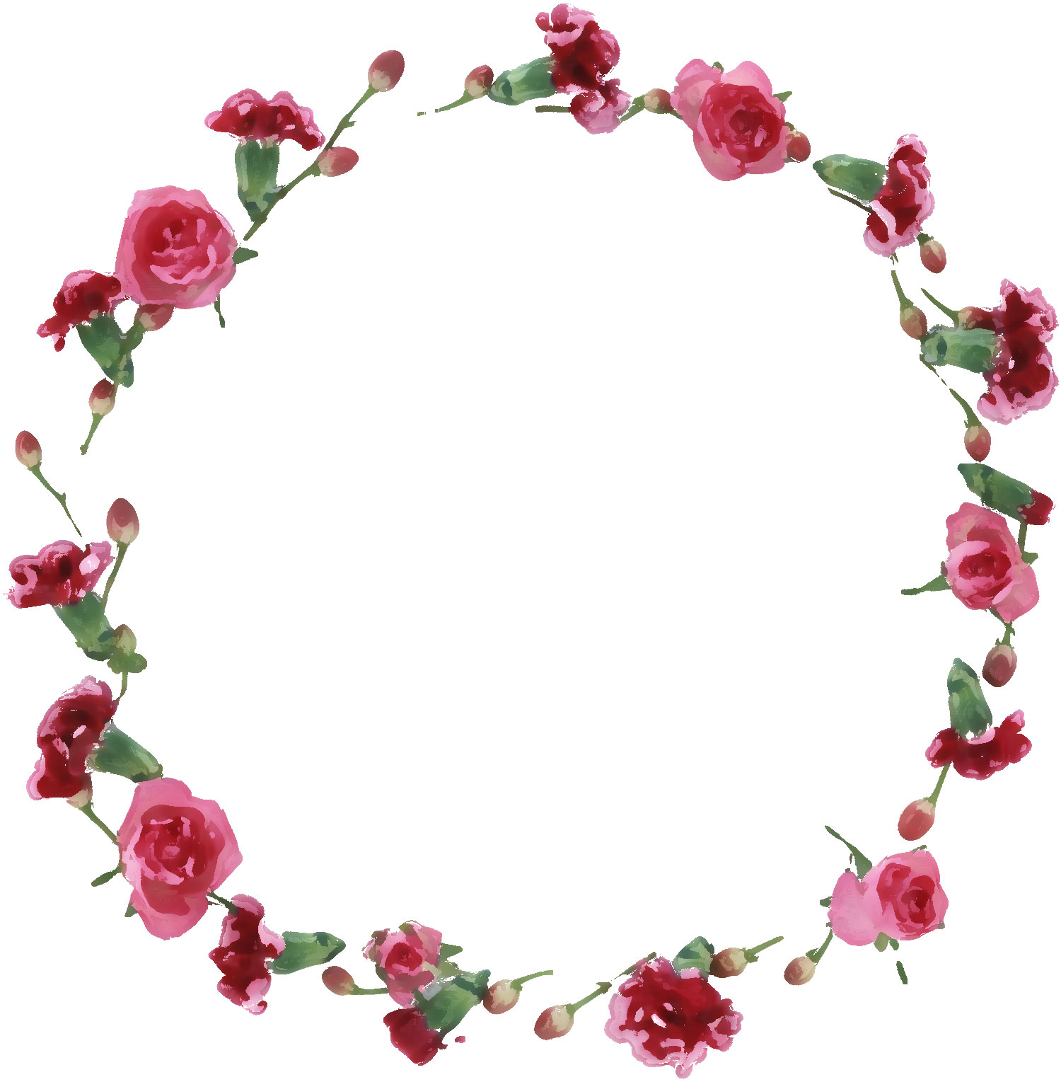 赤い花のイラスト フリー素材 No 573 ピンクのバラ つぼみ