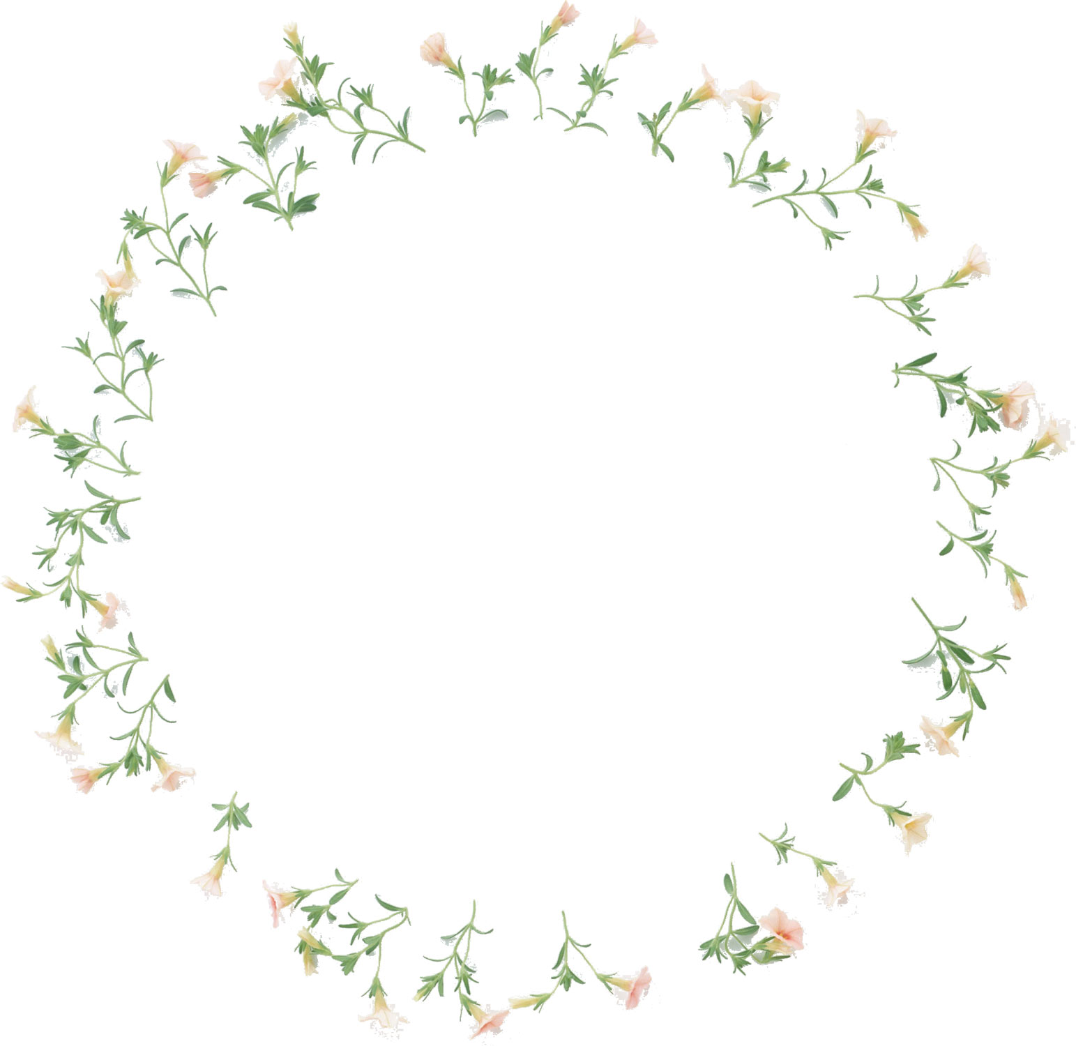花や葉の写真 画像 フリー素材 フレーム枠no 1012 ピンク あさがお 輪