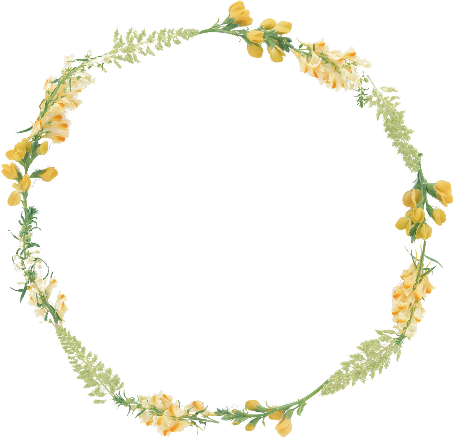 花の写真 フリー素材 フレーム枠no 035 黄 白 緑 葉 輪