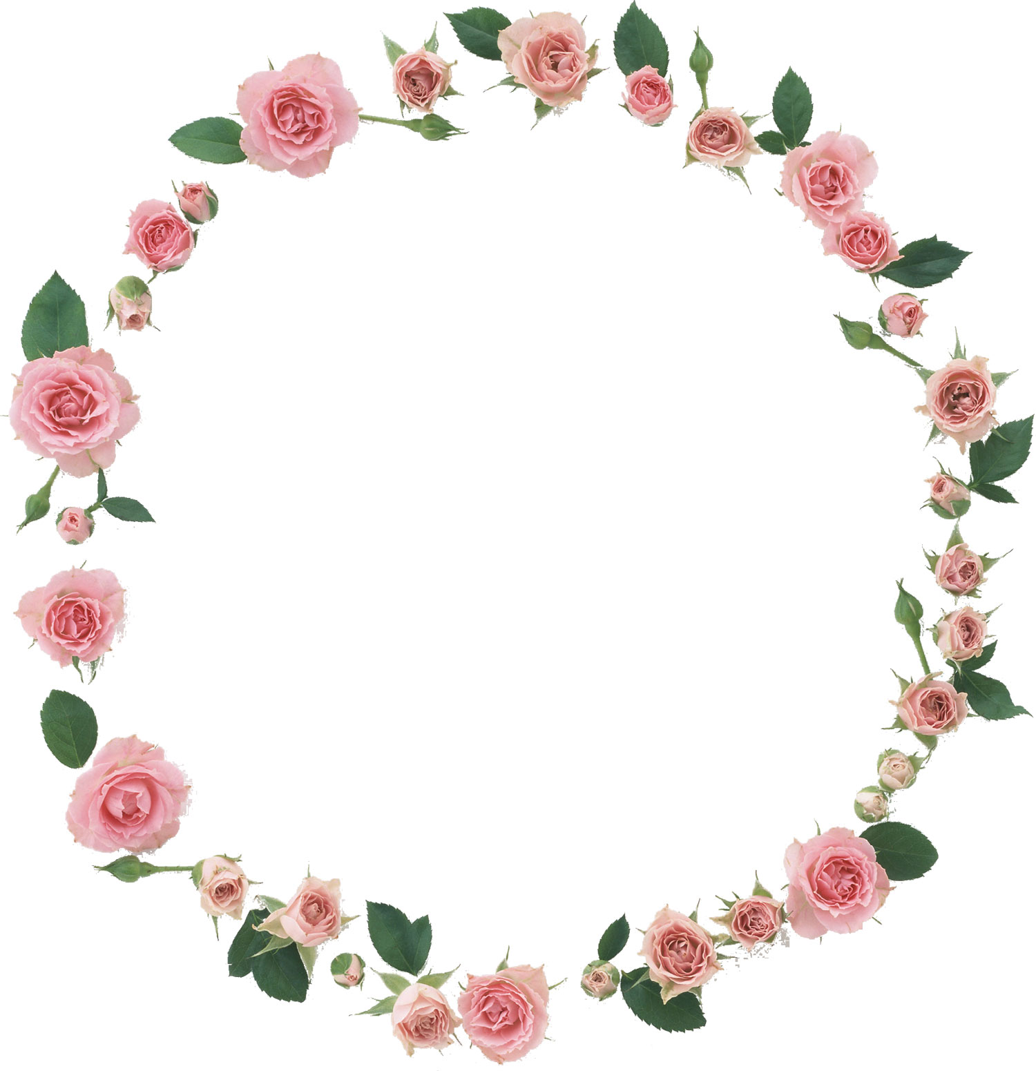 花や葉の写真 画像 フリー素材 フレーム枠no 1016 ピンクのバラ 葉 輪