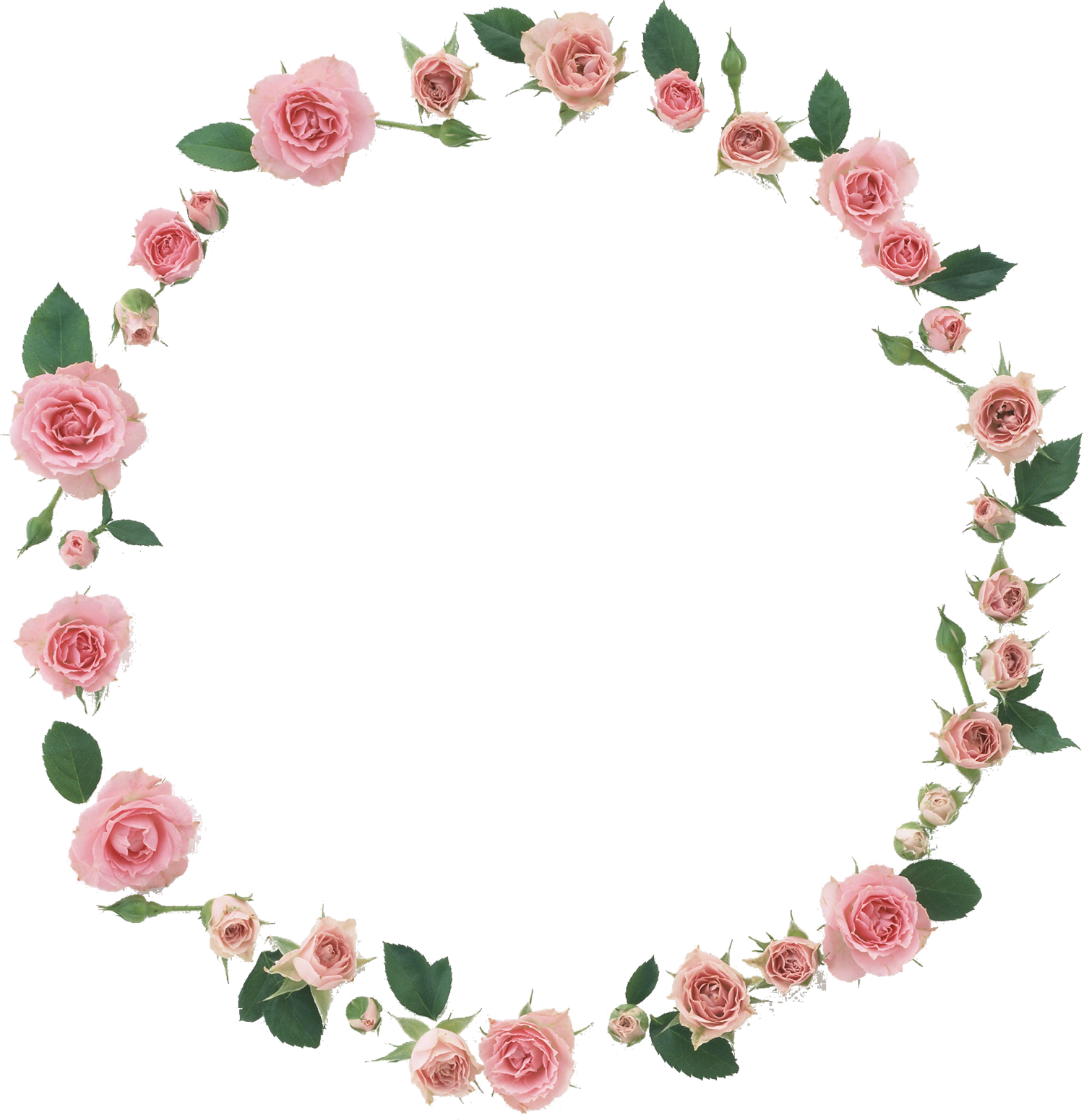 花や葉の写真 画像 フリー素材 フレーム枠no 1016 ピンクのバラ 葉 輪