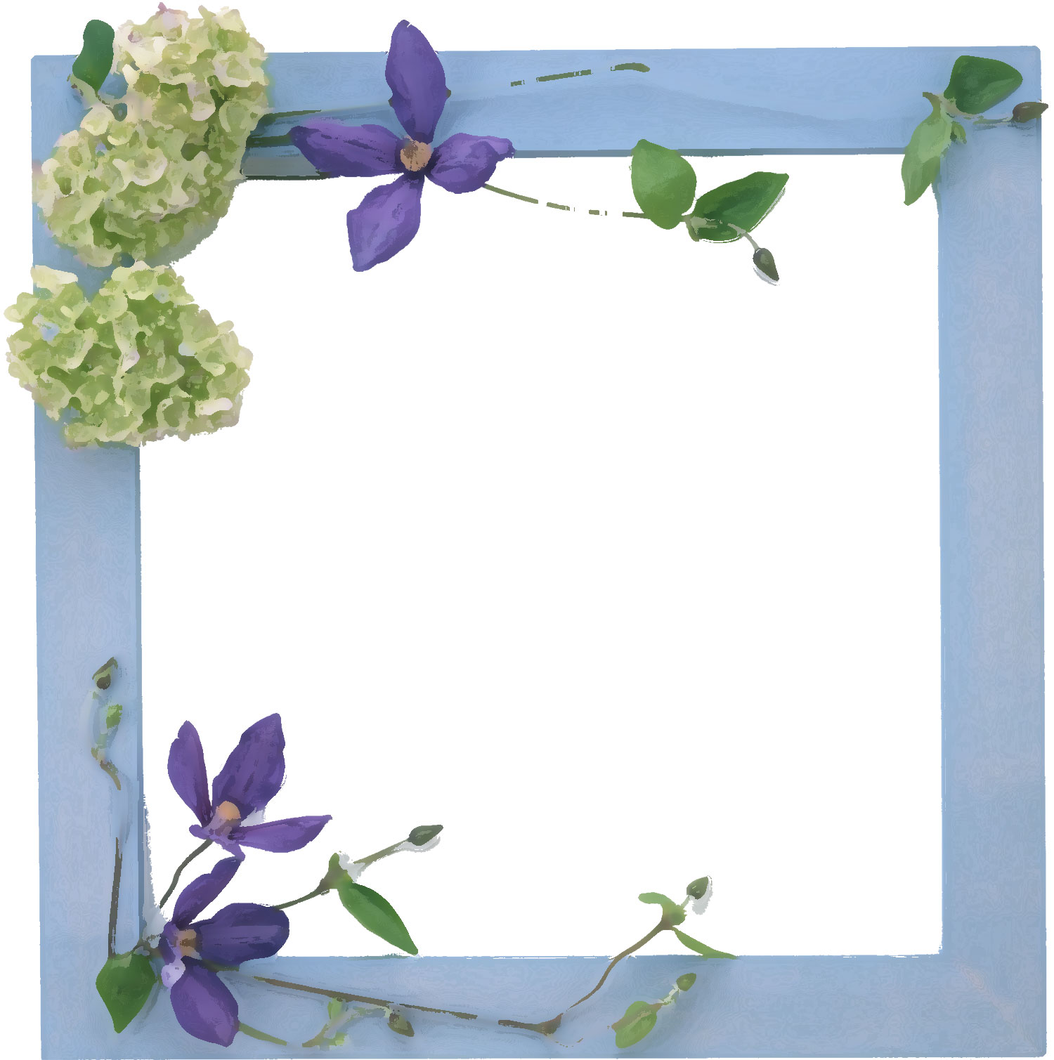 花のイラスト フリー素材 フレーム枠no 592 あじさい 紫 葉 板額