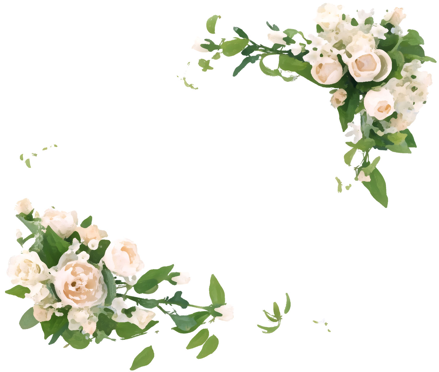 白い花のイラスト フリー素材 No 258 白バラ 緑葉