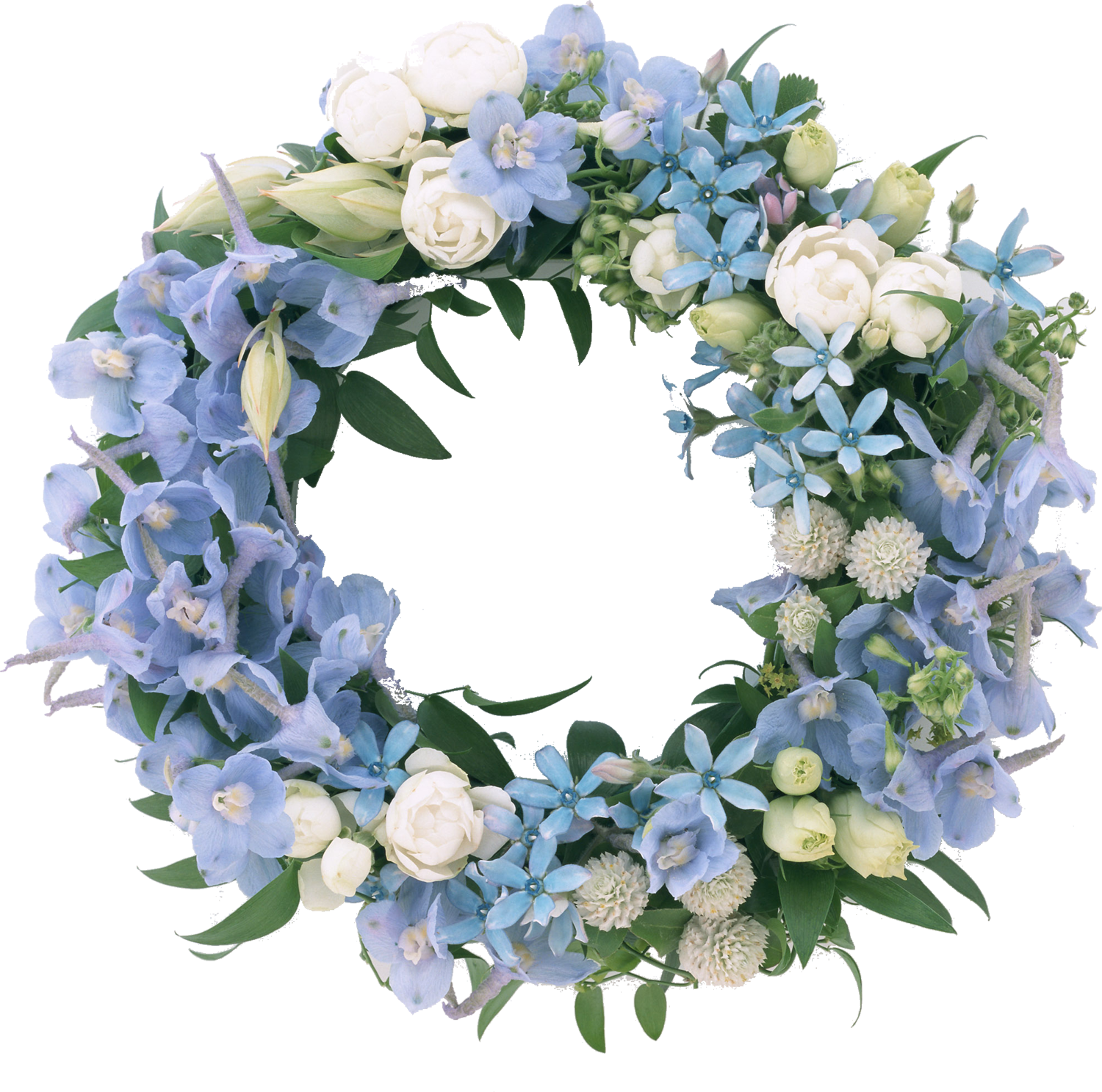 青い花の写真 フリー素材 No 487 青 水色 白 緑葉
