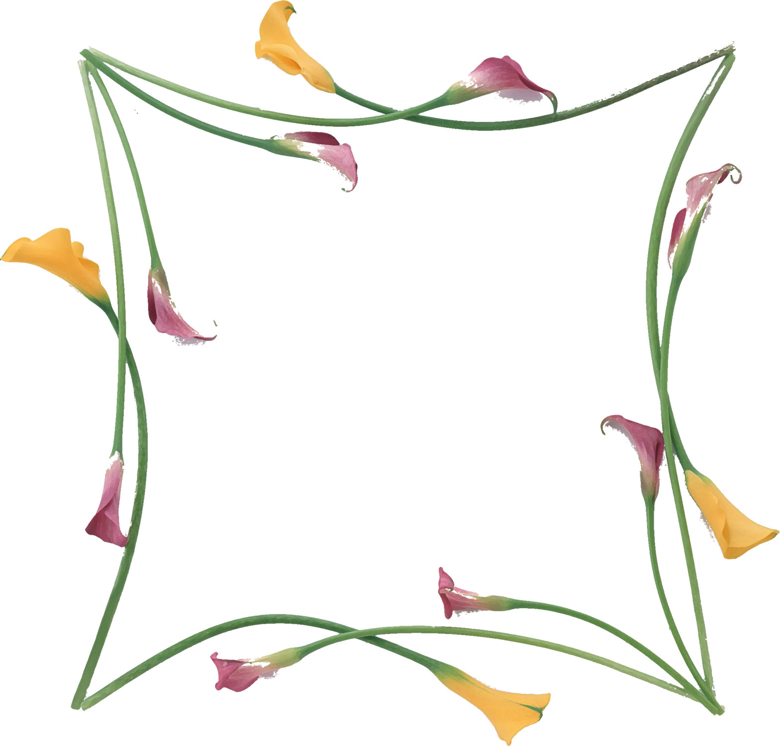 リアルな花のイラスト フリー素材 フレーム枠no 1338 カラーリリー 黄紫