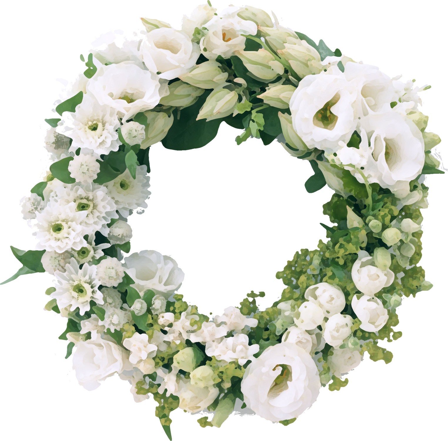 リアルタッチな花のイラスト フリー素材 No 1006 白バラ 緑葉 リース