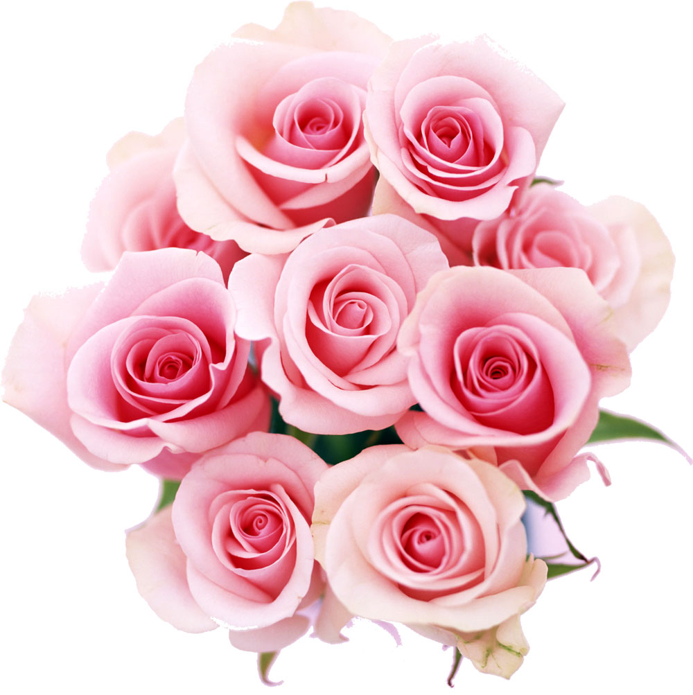 花や葉の写真 画像 フリー素材 花束no 907 ピンク バラ 花束