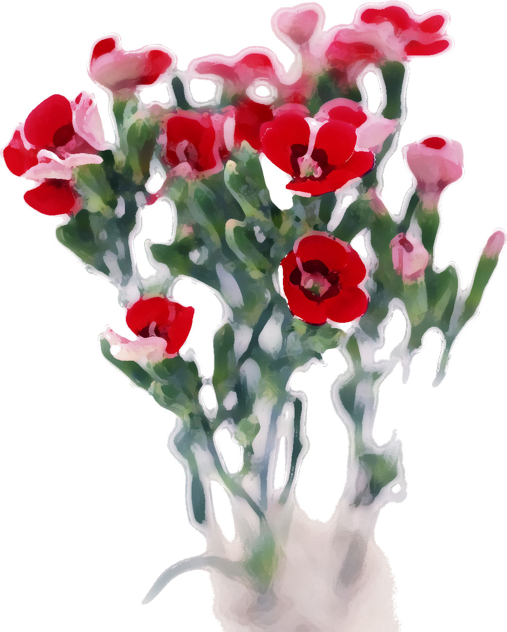 リアルタッチな花のイラスト フリー素材 No 455 赤 ナデシコ