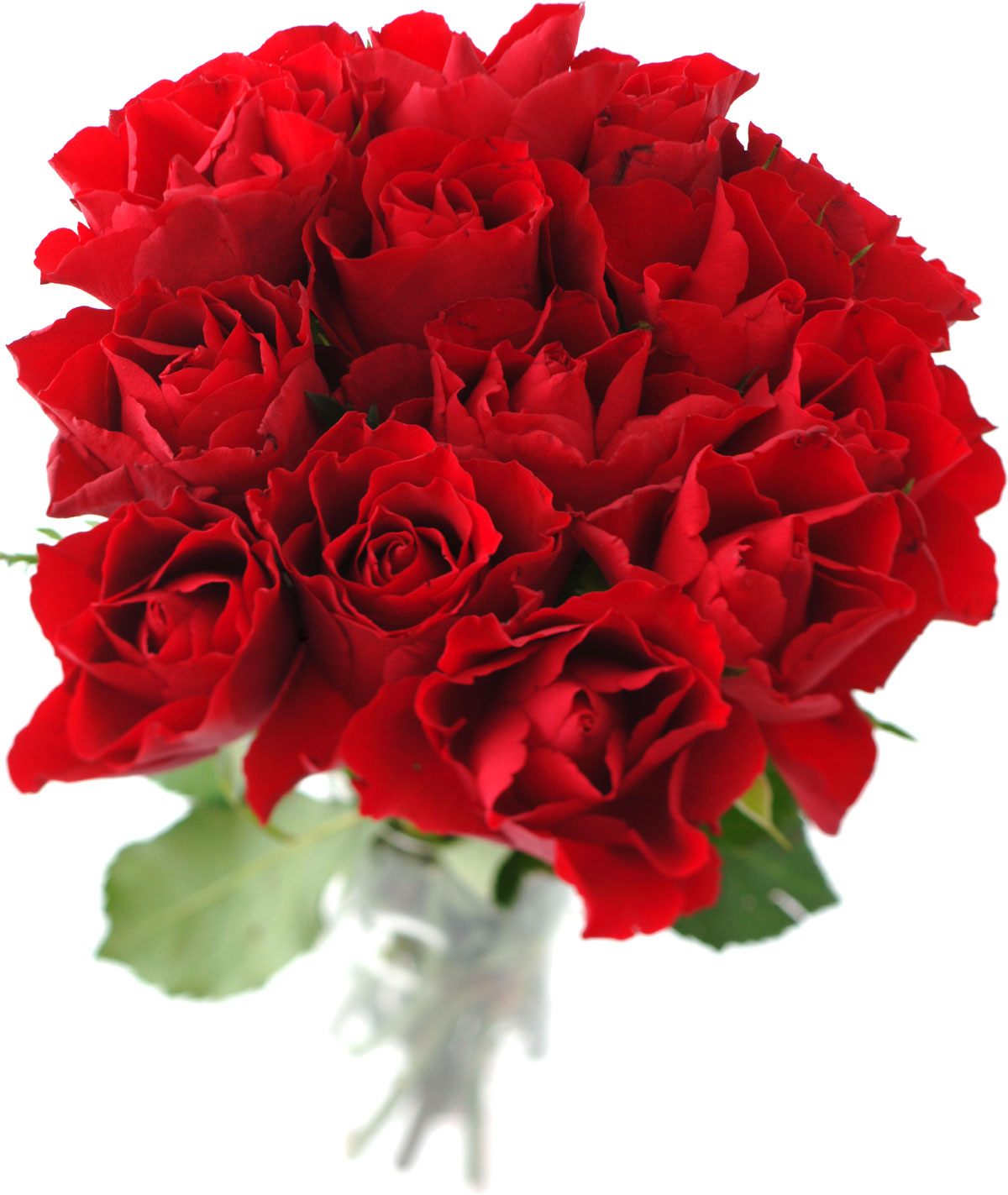 花や葉の写真 画像 フリー素材 花束no 910 赤 バラの花束