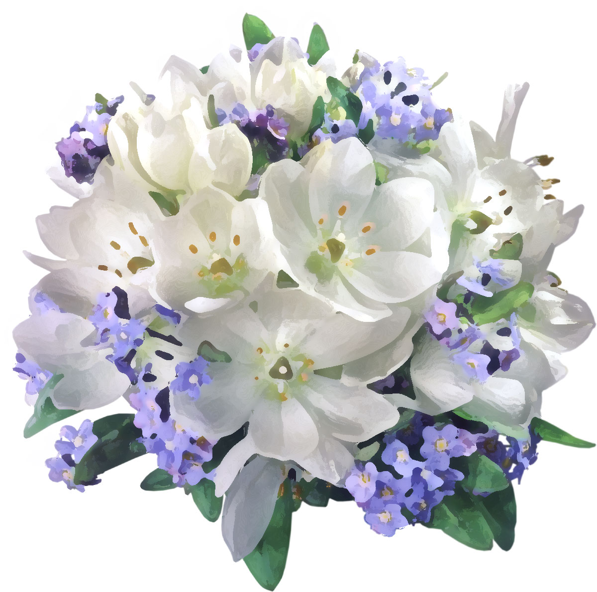 リアルタッチな花のイラスト フリー素材 No 865 白 青 花束