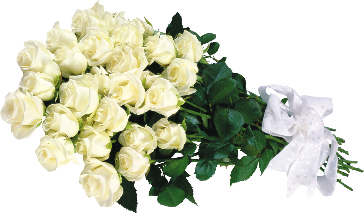 花や葉の写真 画像 フリー素材 花束no 930 白バラの花束 リボン