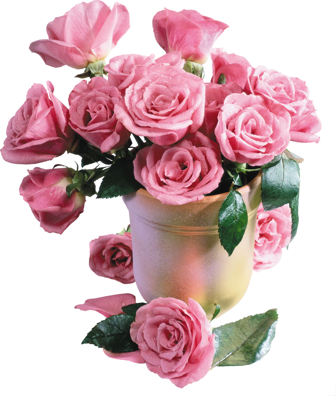 花・葉の写真画像-バラの花束・ピンク