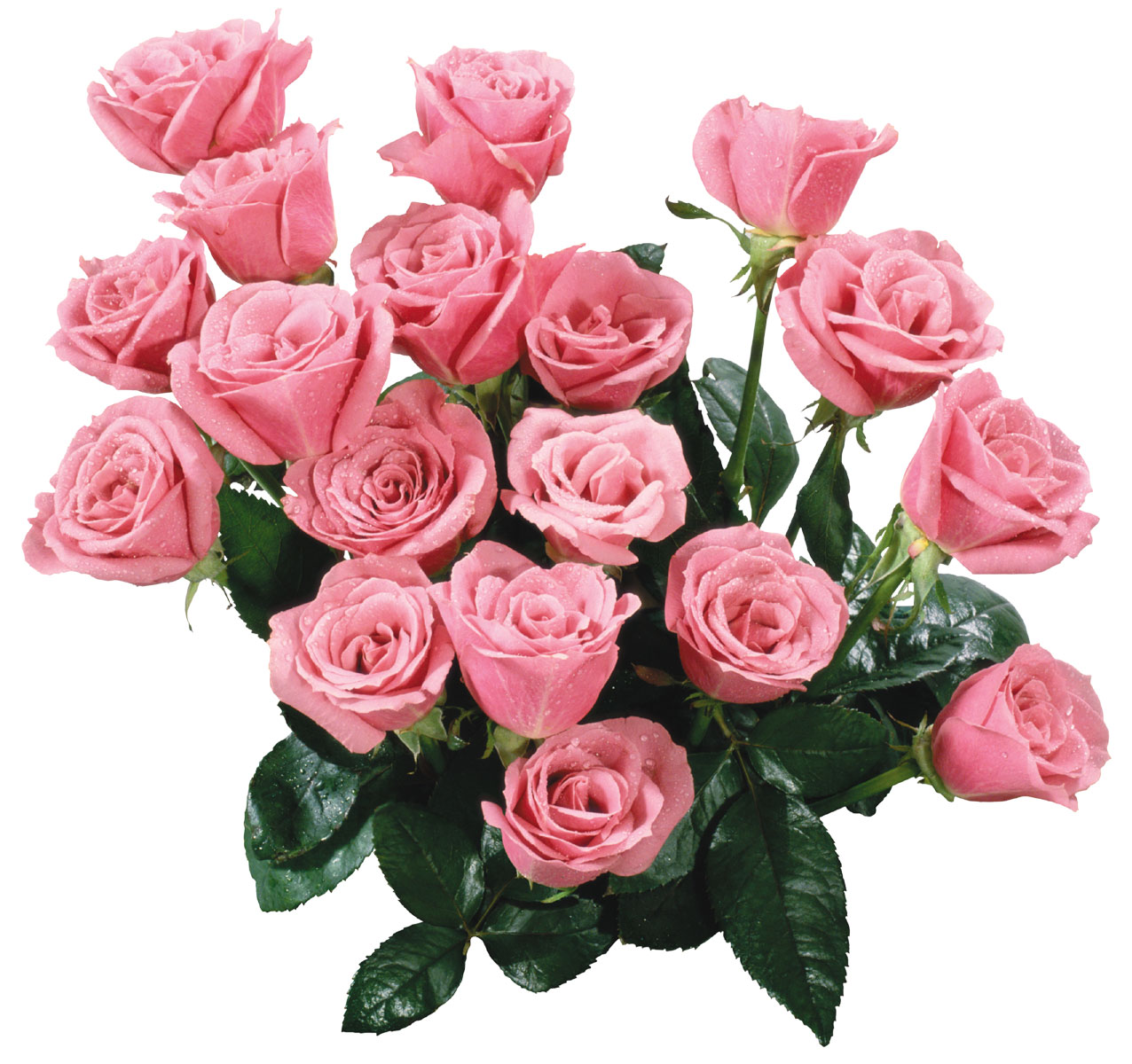花や葉の写真 画像 フリー素材 花束no 939 バラの花束 ピンク