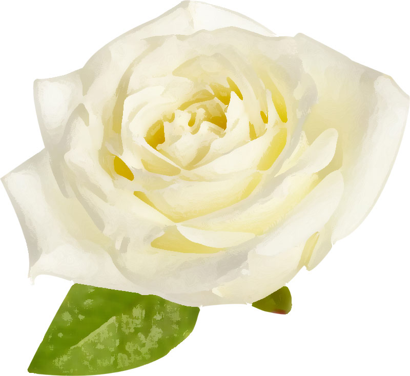 白い花のイラスト フリー素材 No 038 白バラ 葉