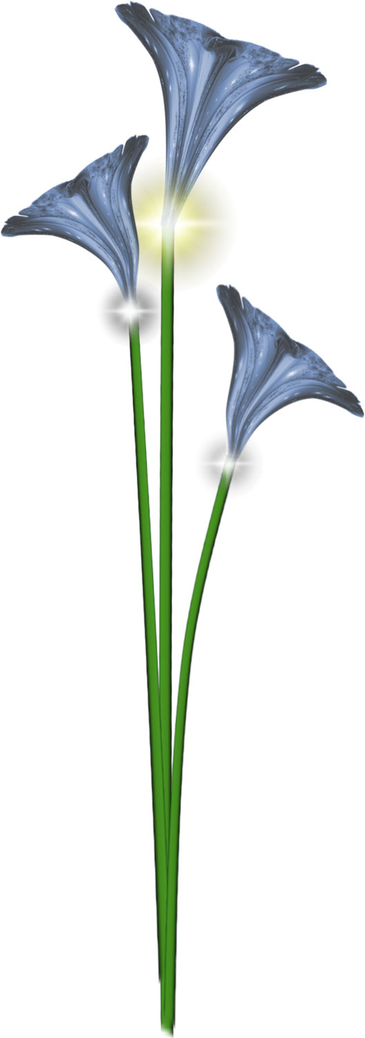 花・葉の写真画像-青・光源・茎葉