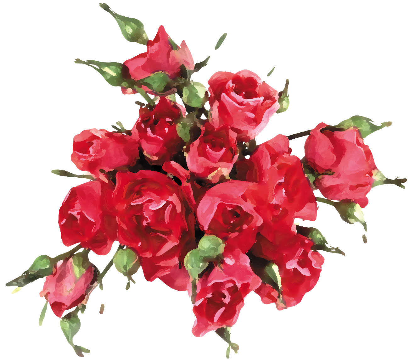 花のイラスト フリー素材 花束no 193 赤いバラ 束