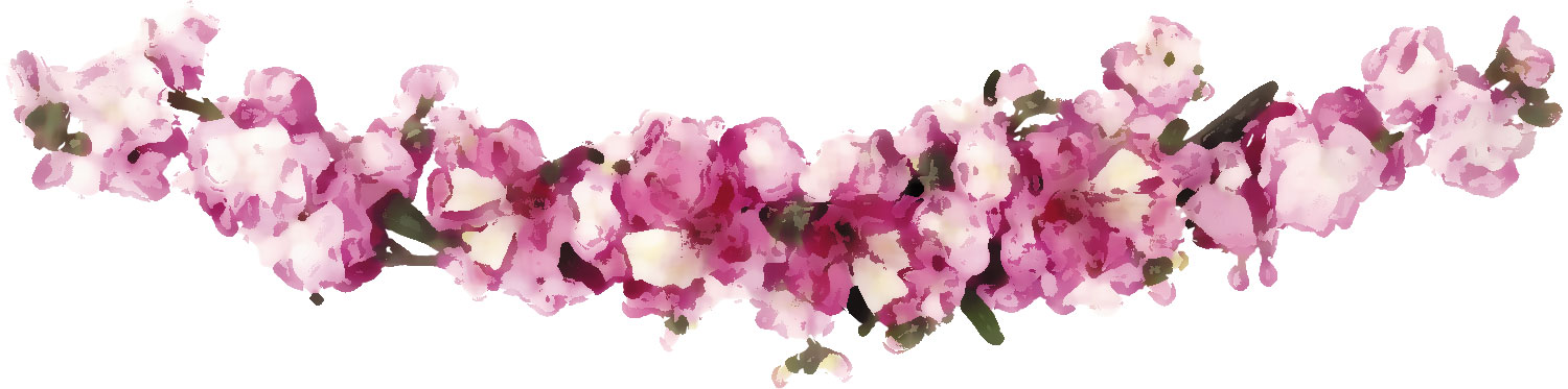 花のライン線イラスト-赤紫・横長