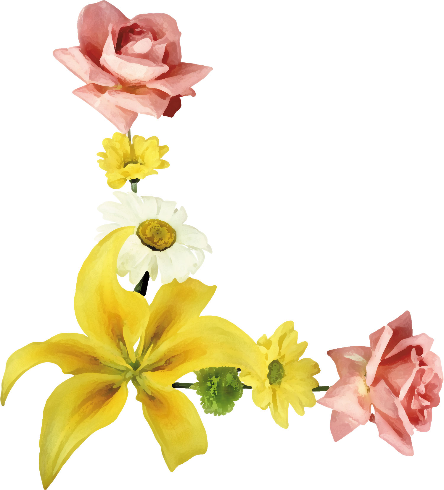 百合 ゆり の花の画像 イラスト フリー素材 No 179 ゆり バラ 白黄ピンク
