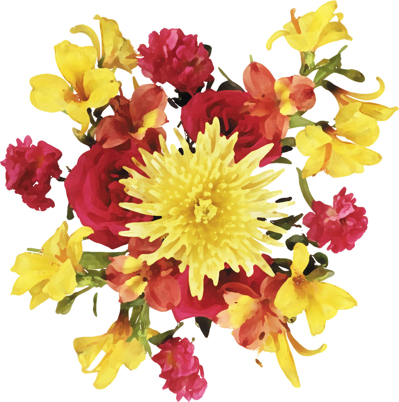 リアルタッチな花のイラスト フリー素材 No 697 バラ ユリ 菊 赤黄