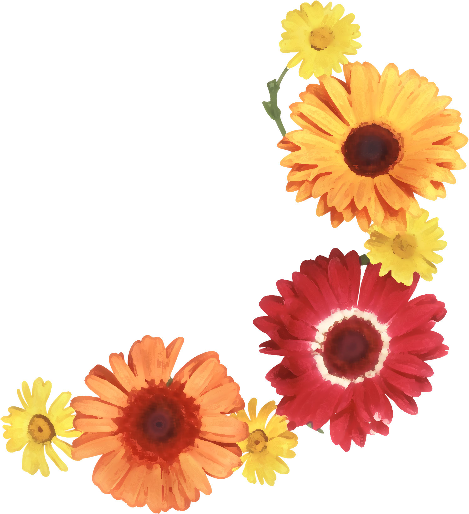 フルカラー カラフルな花のイラスト フリー素材 No 365 ガーベラ 赤黄オレンジ