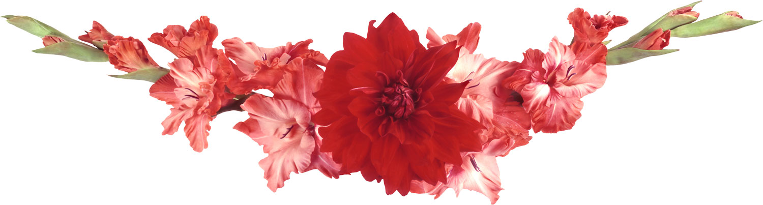 花のライン線イラスト-赤・ピンク