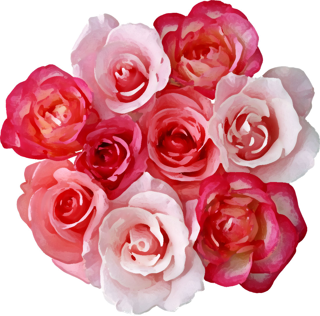 花のイラスト フリー素材 花束no 230 バラ 赤白ピンク