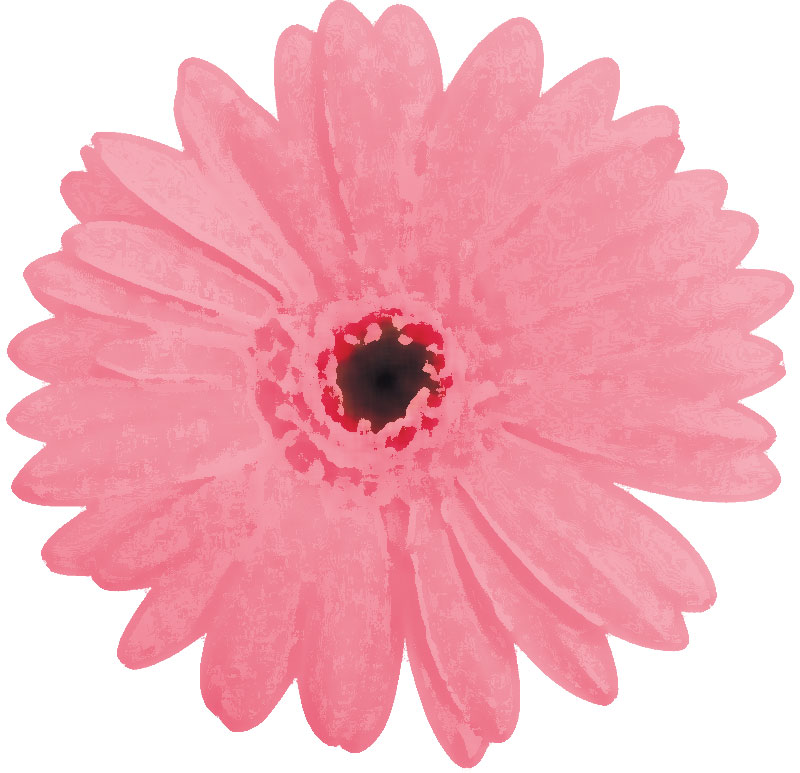 リアルな花のイラスト フリー素材 花一輪no 1853 ピンク
