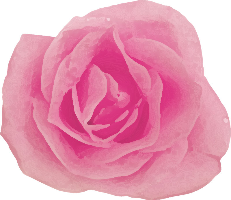 バラの画像 イラスト カラフルな花一輪 No 379 ピンク バラ
