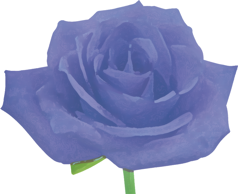 バラの画像 イラスト カラフルな花一輪 No 394 紫 バラ 横