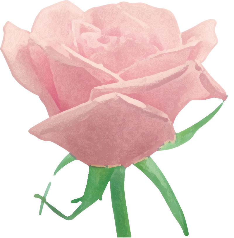 バラの画像 イラスト カラフルな花一輪 No 408 ピンク バラ