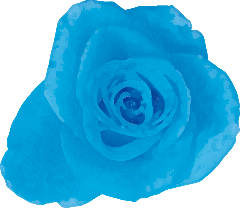 青い花のイラスト フリー素材 No 124 青 バラ