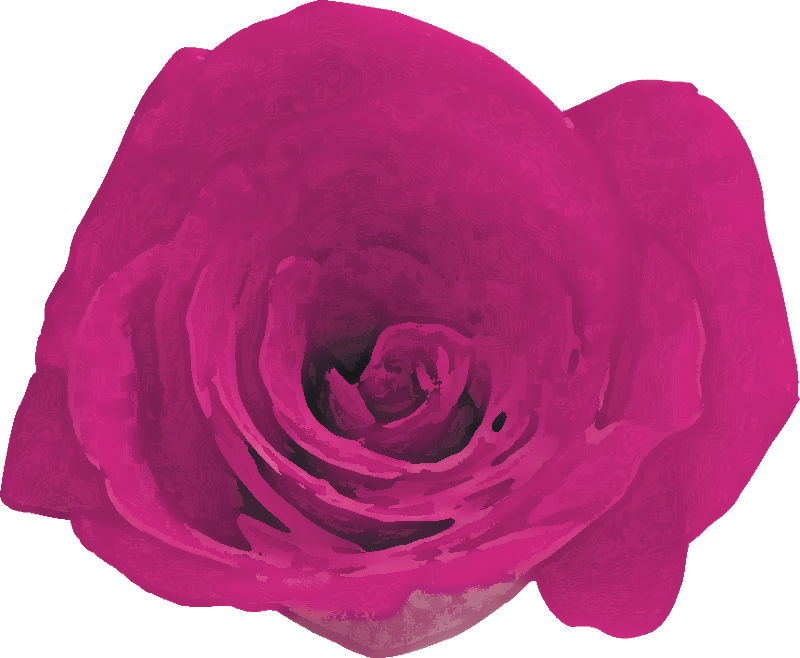 紫色の花のイラスト フリー素材 No 122 赤紫 バラ