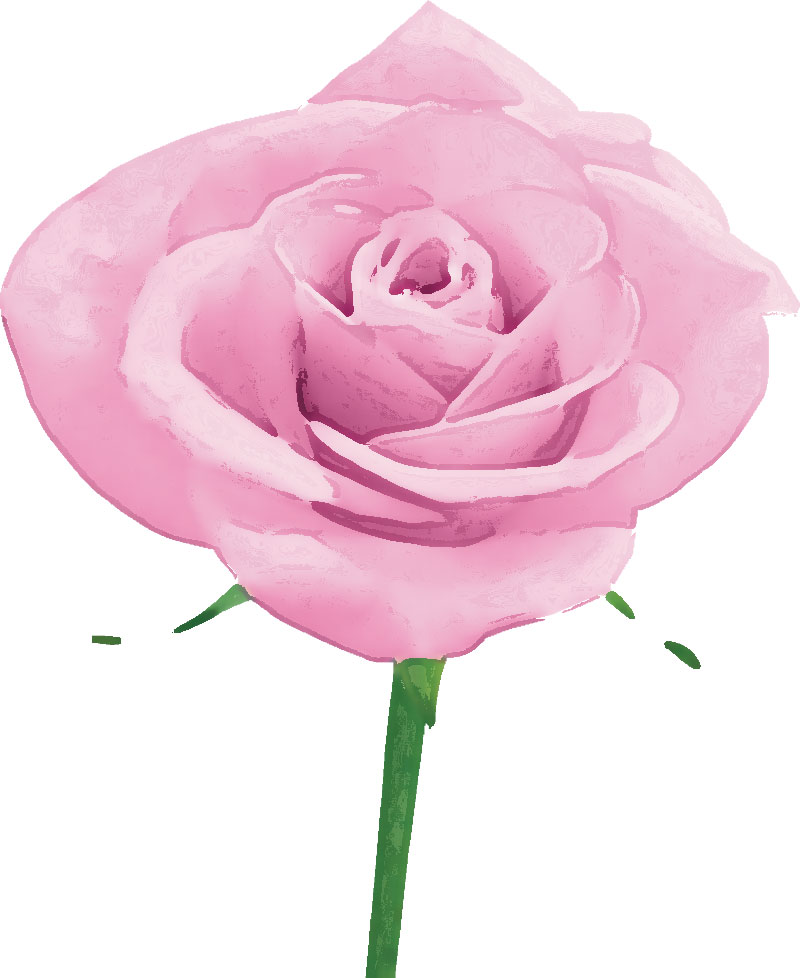 バラの画像 イラスト カラフルな花一輪 No 464 ピンク バラ 茎葉