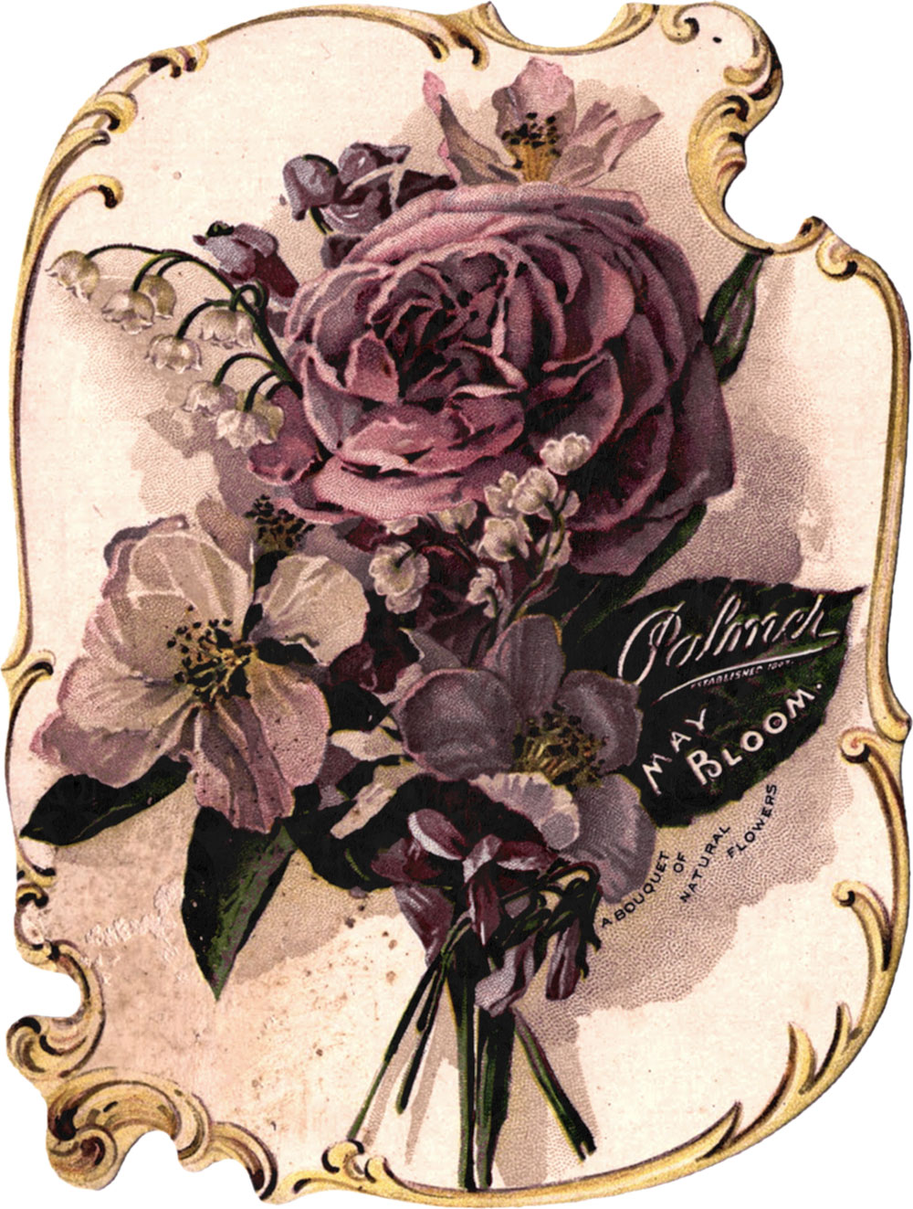 紫色の花のイラスト フリー素材 No 275 花の絵画 縁