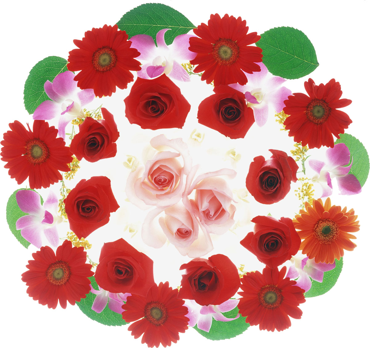 花・葉の写真画像-花の集まり・赤基調