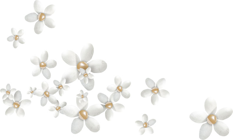 白い花のイラスト フリー素材 No 092 白 真珠 散らばり