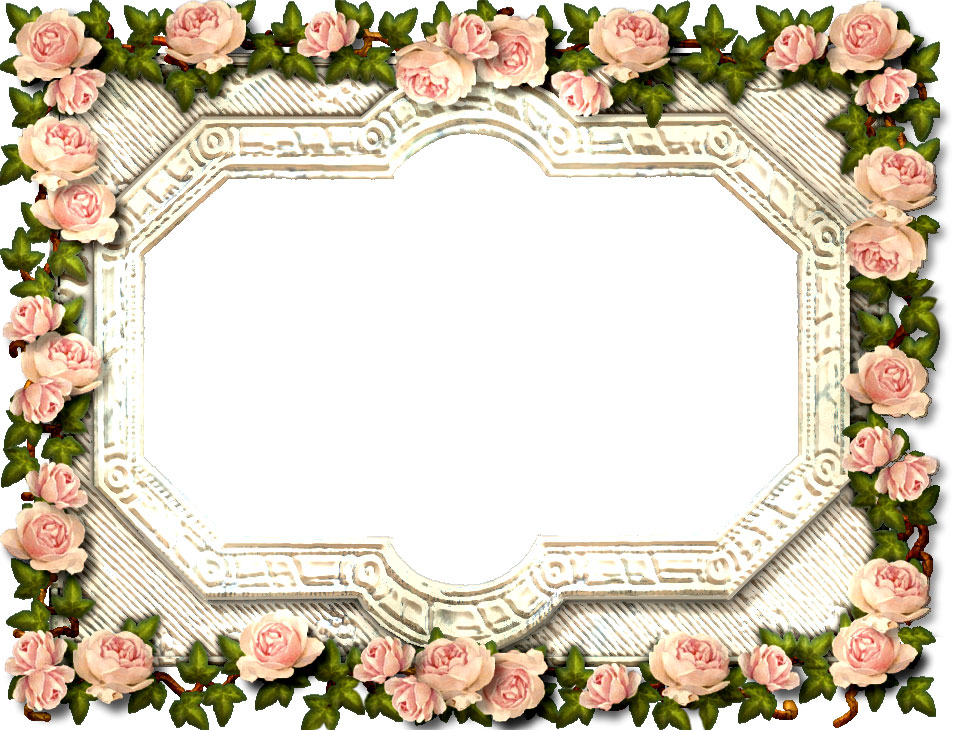 花の写真 フリー素材 フレーム枠no 161 エレガント ピンク薔薇