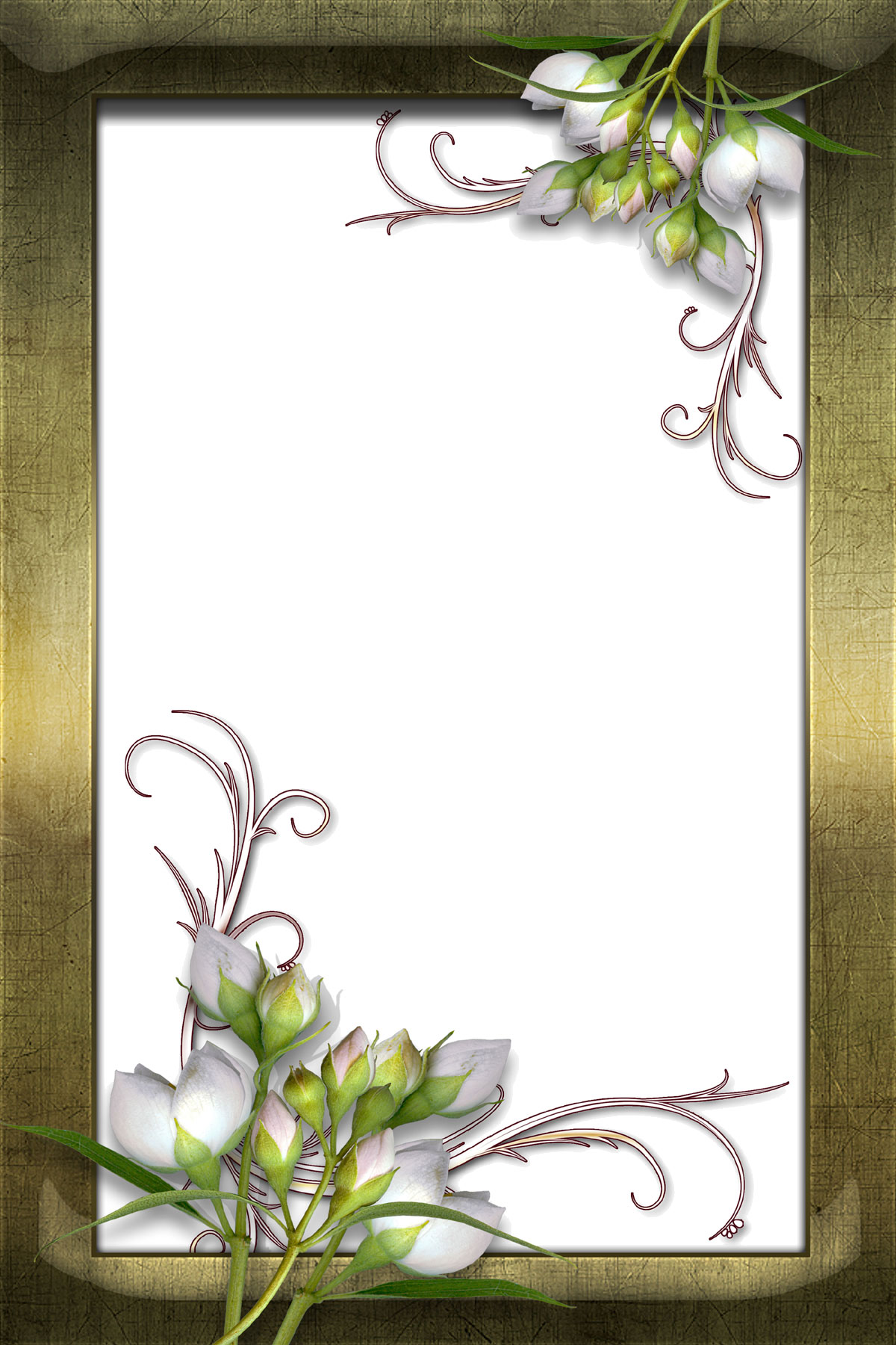 リアルな花のイラスト フリー素材 フレーム枠no 1440 白 木額縁 フレーム